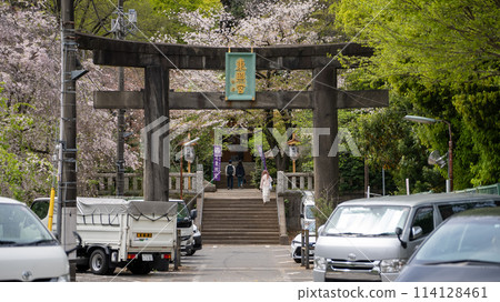 Torii gate of Shiba Toshogu Shrine 114128461