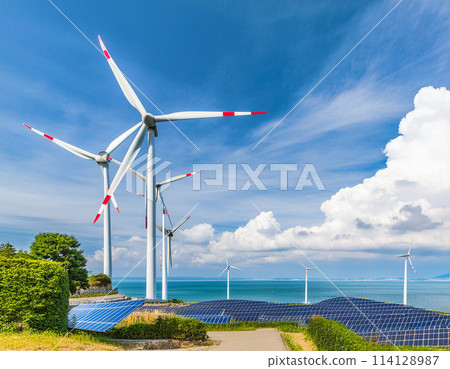 太陽能板和風車排列在海上 114128987
