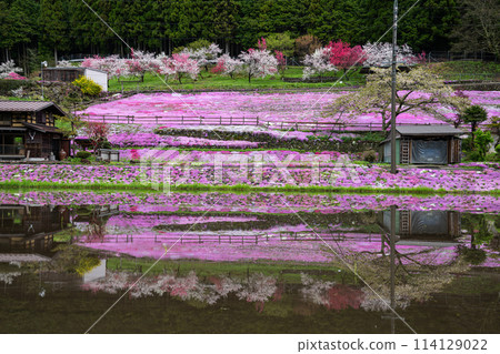Shibaura of Kunishiya Shibaura of Kunishiya 114129022