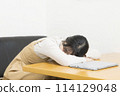 A young woman who is tired of using a computer and falls asleep 114129048