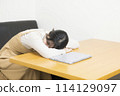 A young woman who is tired of using a computer and falls asleep 114129097