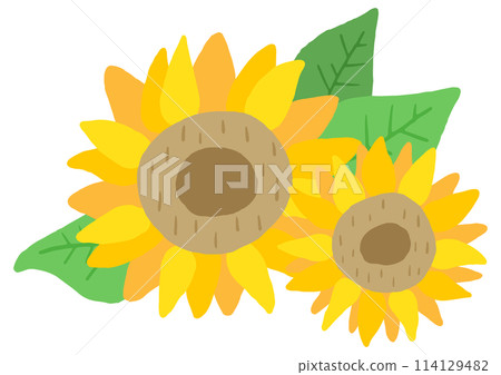 Sunflower flower, sunflower, summer flower, cute hand drawn illustration 114129482