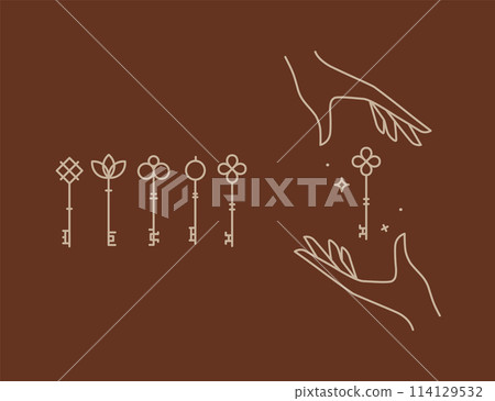 Linear key collection brown Linear key collection brown 114129532