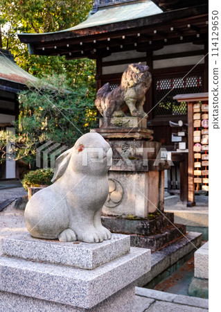 岡崎神社可愛的守護兔（京都） 114129650