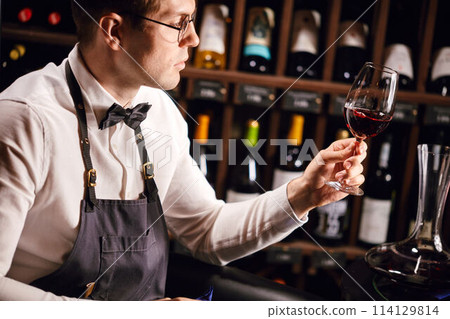 Professional sommelier holding a glass of delicious wine appreciting his tint Professional sommelier holding a glass of delicious wine appreciting his tint 114129814