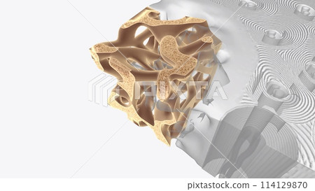 Cancellous tissue, also known as cancellous bone, spongy bone or trabecular bone Cancellous tissue, also known as cancellous bone, spongy bone or trabecular bone 114129870
