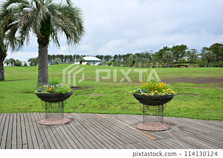 Tsujido Seaside Park under cloudy skies 114130124