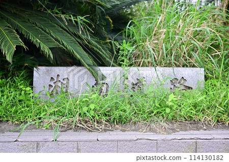 Shonan Coast 114130182