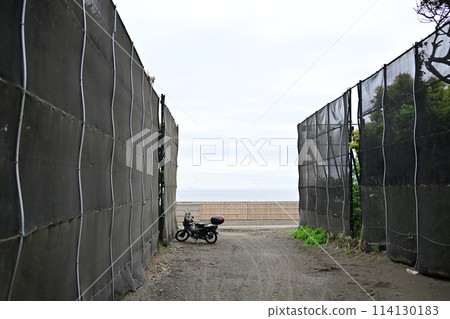 Shonan Coast 114130183