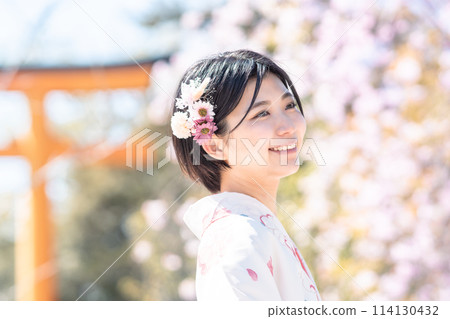 A young woman taking a pre-graduation photo walking among cherry blossoms 114130432