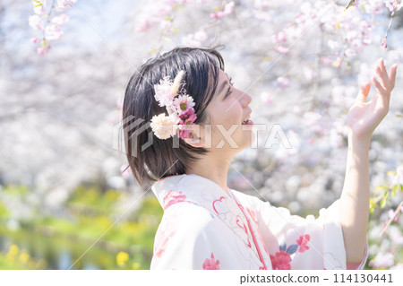 A young woman taking a pre-graduation photo walking among cherry blossoms A young woman taking a pre-graduation photo walking among cherry blossoms 114130441