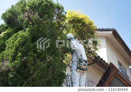 Pruning work of garden tree 114130494