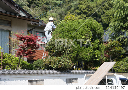 Pruning work of garden tree 114130497