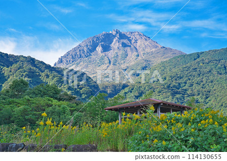 [View from Heisei Shinyama Nature Center] Minamisenbongicho, Shimabara City, Nagasaki Prefecture 114130655