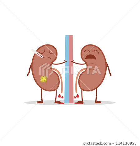 Vector illustration of a sick and sad kidneys in cartoon style due to cystitis or other related diseases. 114130955