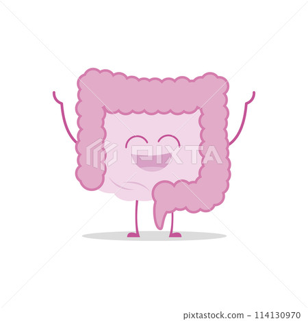 Vector illustration of a healthy and funny intestine in cartoon style. 114130970
