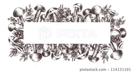 Edible forest mushrooms, boletus, chanterelles with blueberries and lingonberries, leaves, fir and cones. Graphic illustration, hand drawn with brown ink, line art. Rectangular frame template 114131191