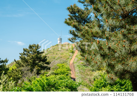 Biyangdo Island Biyangbong peak lighthouse and trail road in Jeju island, Korea Biyangdo Island Biyangbong peak lighthouse and trail road in Jeju island, Korea 114131708
