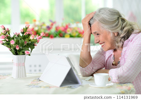 Cute nice senior woman using laptop at home Cute nice senior woman using laptop at home 114131969
