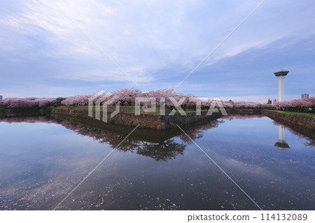 Cherry blossoms appearing on the surface of the water Cherry blossoms appearing on the surface of the water 114132089