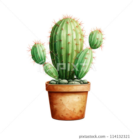 Cacti for Home and Garden 114132321