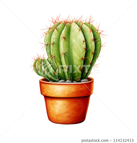 Cacti for Home and Garden Cacti for Home and Garden 114132413