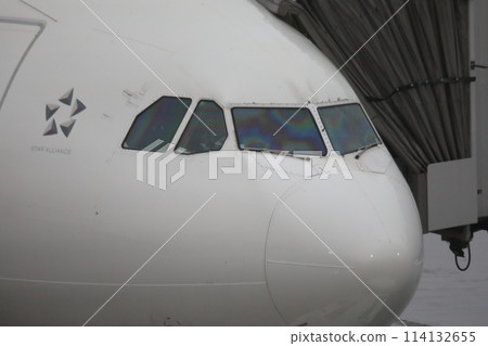 nose 114132655