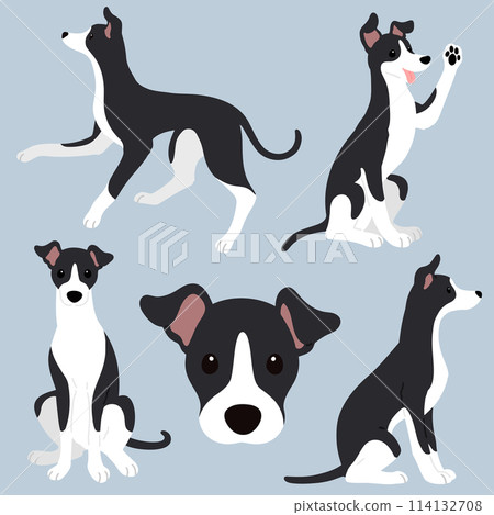 Simple and cute black and white Italian Greyhound illustration set without main lines 114132708