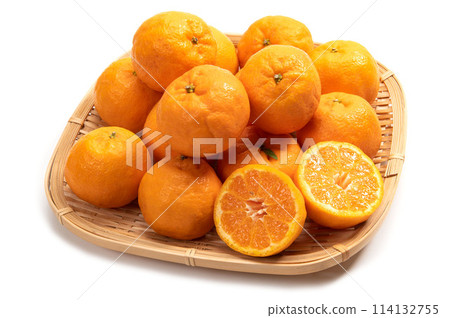椪柑，芸香科柑橘類水果 114132755