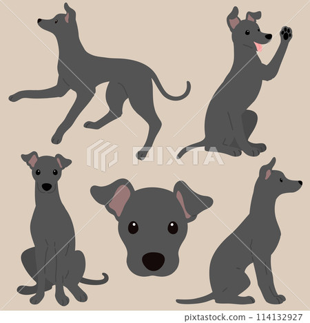 Simple and cute dark gray Italian Greyhound illustration set without main lines 114132927