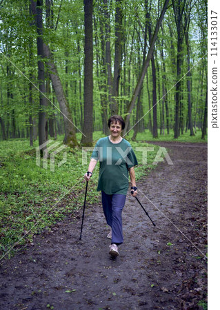 elderly woman is engaged in Nordic walking with sticks in the spring forest 114133017