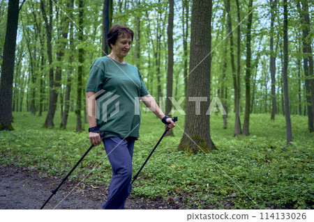 elderly woman is engaged in Nordic walking with sticks in the spring forest 114133026