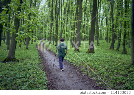 elderly woman is engaged in Nordic walking with sticks in the spring forest 114133033