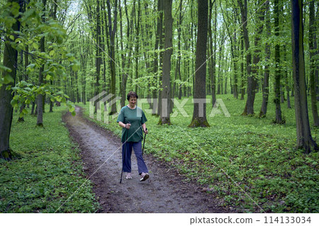 elderly woman is engaged in Nordic walking with sticks in the spring forest elderly woman is engaged in Nordic walking with sticks in the spring forest 114133034