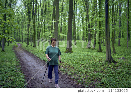 elderly woman is engaged in Nordic walking with sticks in the spring forest 114133035