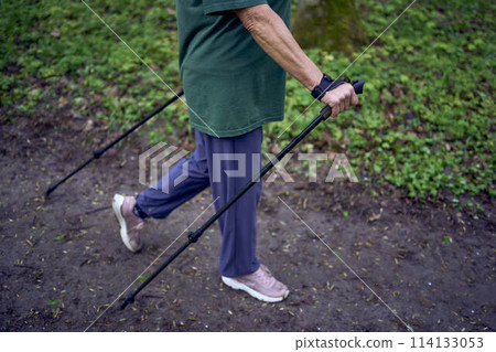 elderly woman is engaged in Nordic walking with sticks in the spring forest 114133053
