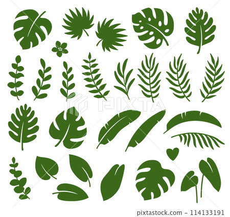 green tropical leaves branches summer set green tropical leaves branches summer set 114133191