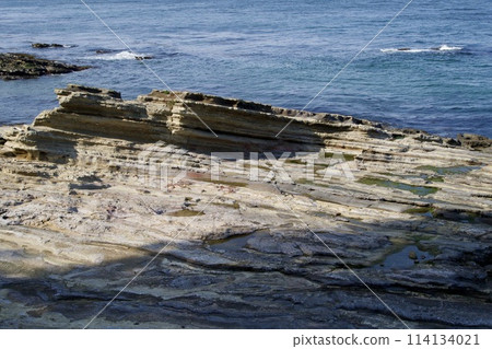 Rocky strata at Kannonzaki Park 114134021