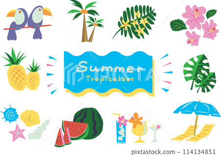 Summer material tropical set 114134851