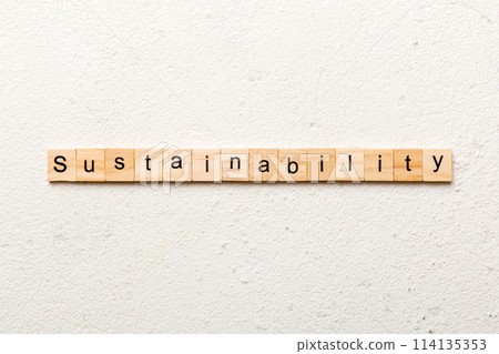 Sustainability word written on wood block. Sustainability text on table, concept 114135353