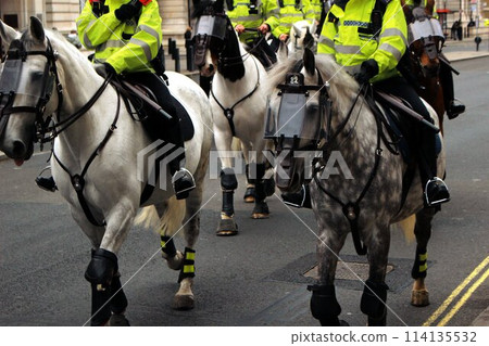 england london mounted police horse 114135532
