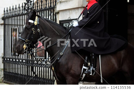 Household Cavalry on horseback, London, England Household Cavalry on horseback, London, England 114135536