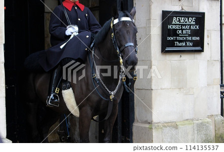 Household Cavalry on horseback, London, England 114135537