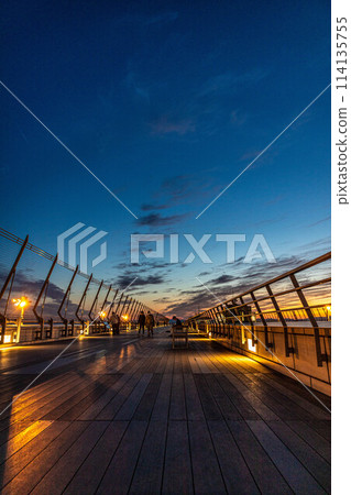 從展望台看到的新特麗亞夜景 從展望台看到的新特麗亞夜景 114135755