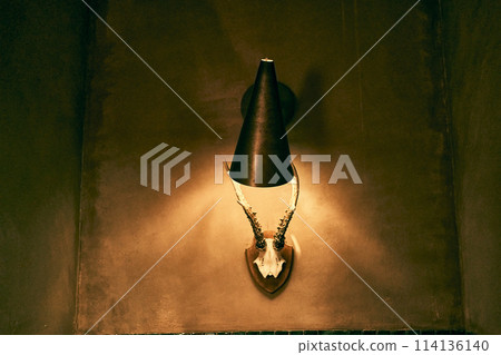 Light in the interior. An antique iron sconce. A grunge-style wall lamp glowing with warm light, an interior piece with a skull and horns. With space to copy. High quality photo 114136140