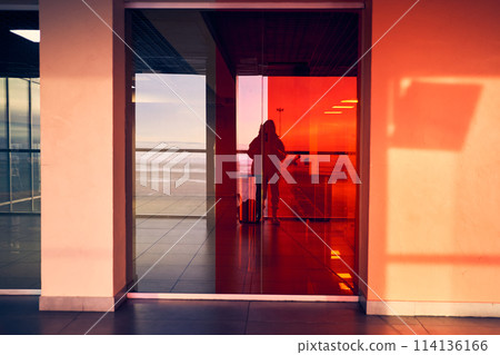 A female traveler looks at her reflection in the glass window of the airport, a tourist girl in the departure hall of the plane. The concept of travel and travel for business people.High quality photo 114136166