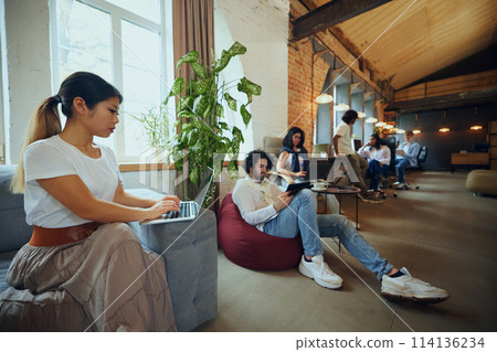 Young entrepreneurs and students in co-working space working and cooperating. Cozy, comfortable professional atmosphere 114136234