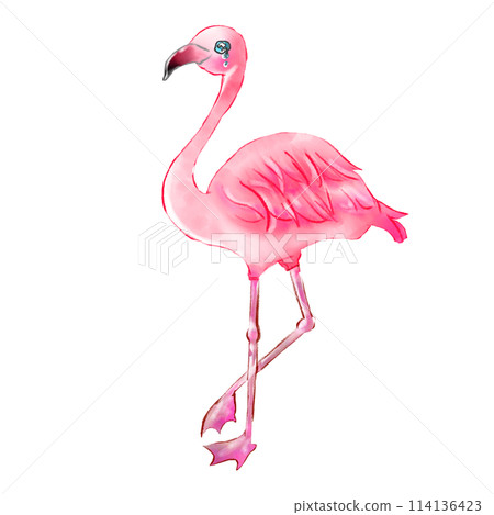 Crying Flamingo 114136423
