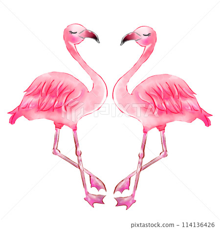 友善的火烈鳥 友善的火烈鳥 114136426