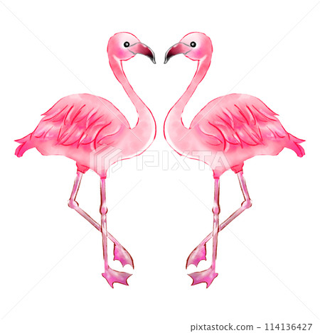 友善的火烈鳥 友善的火烈鳥 114136427
